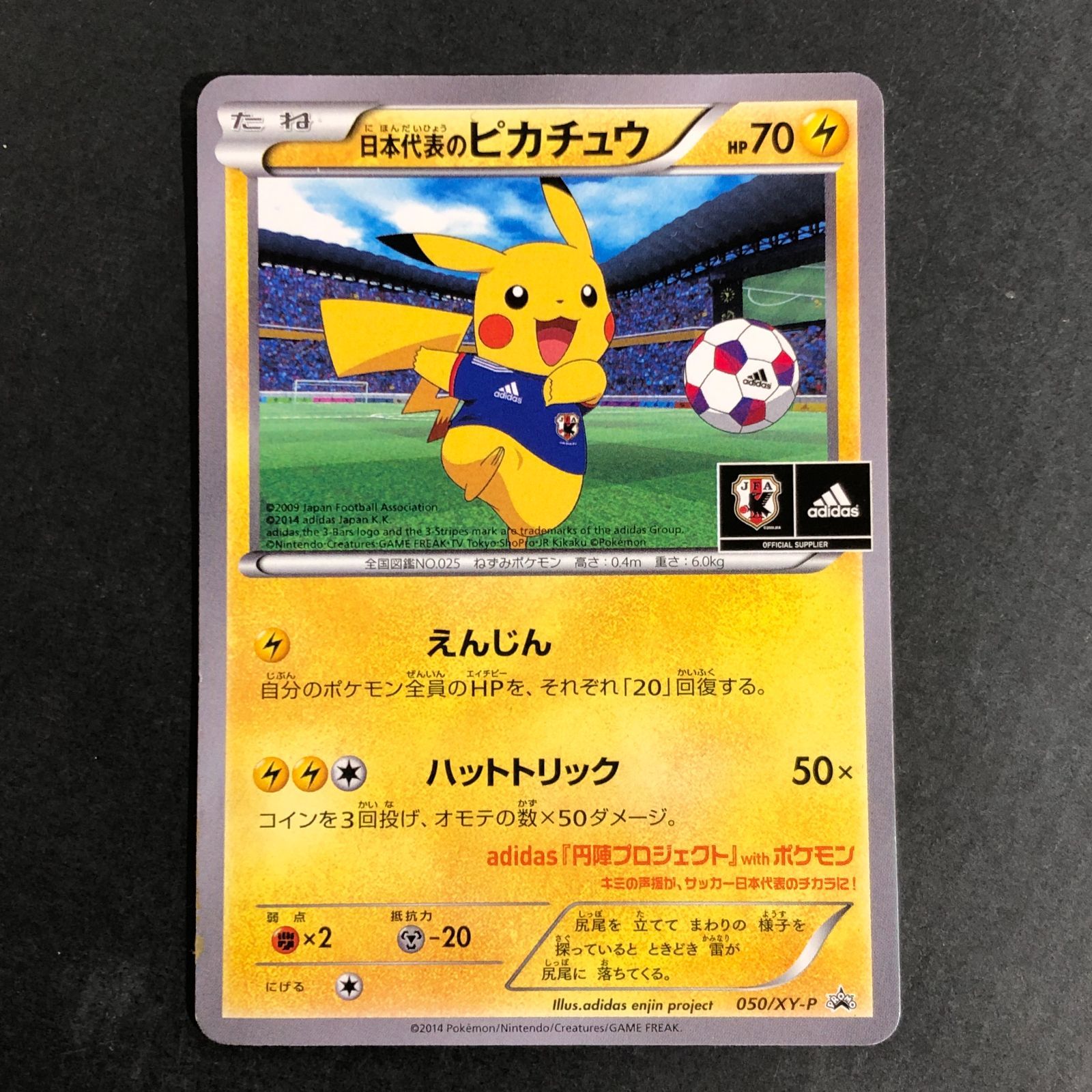 城東56-159] 日本代表のピカチュウ ポケモンNewモン! Book付録 050/XY