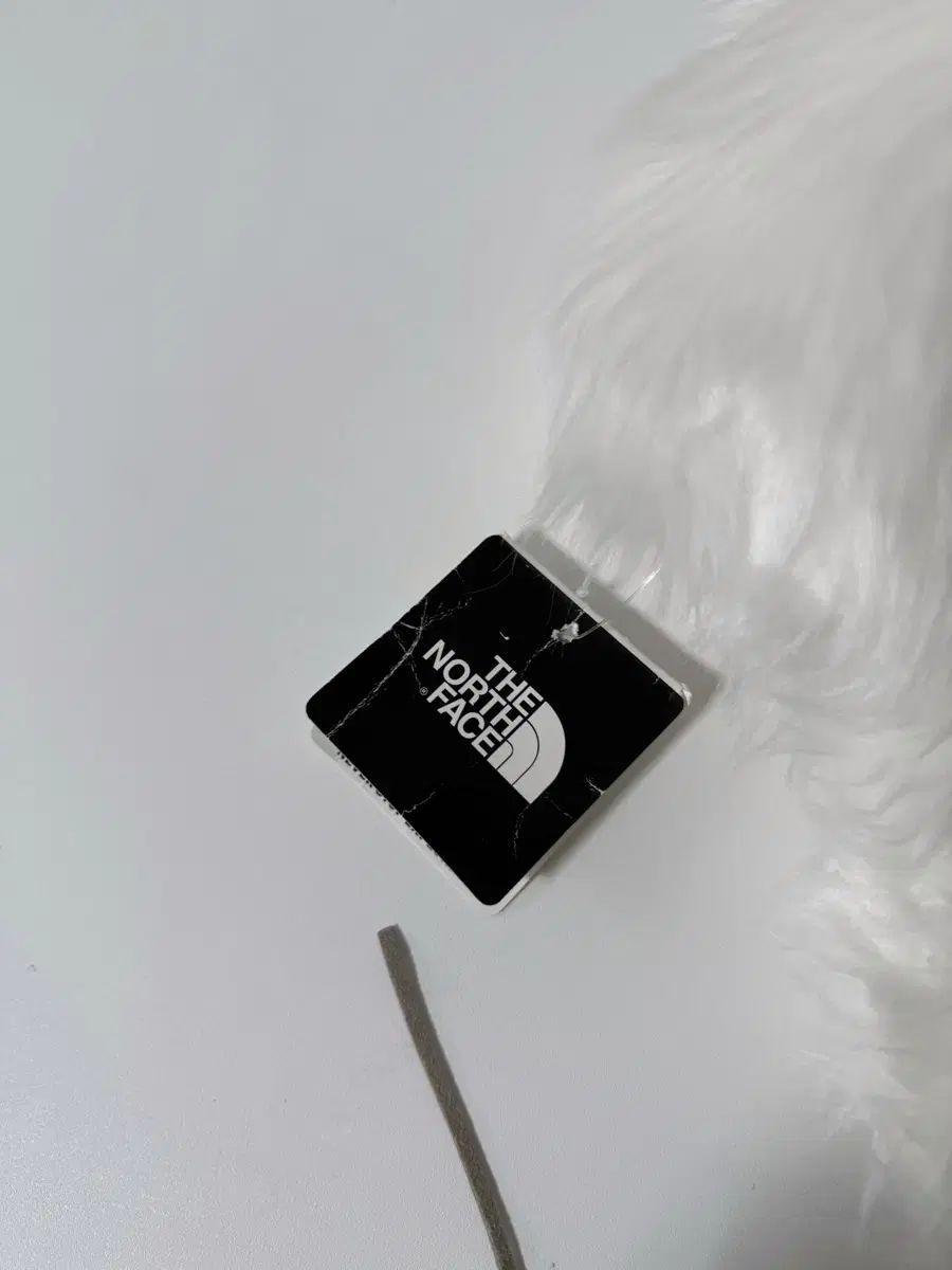 ザノースフェイス 白