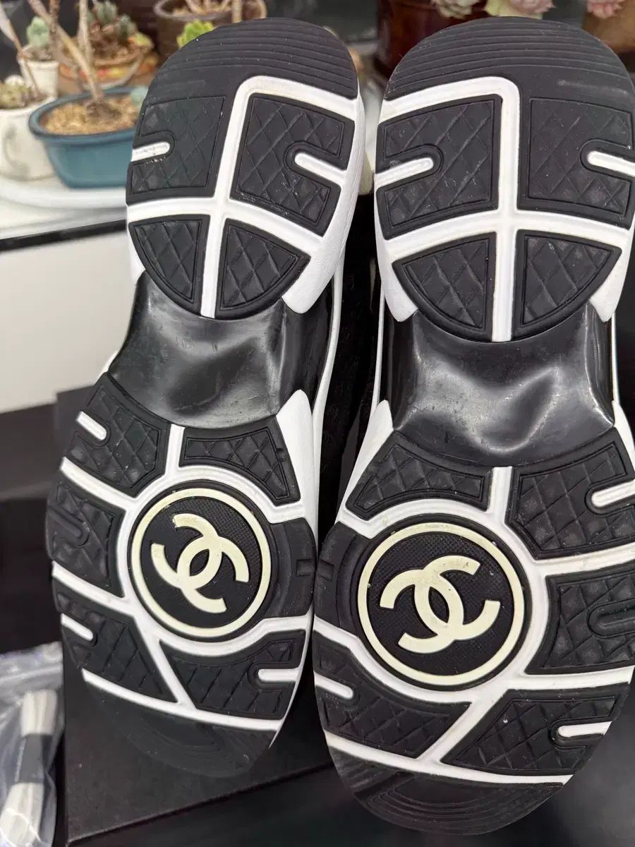 シャネル エンボスニーカー ユニセックス対応 スニーカー 
