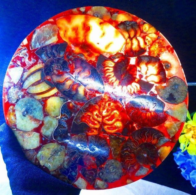 数万個の中の一個☆天然マダガスカル産 ☆ 縫合線オパールアンモナイト