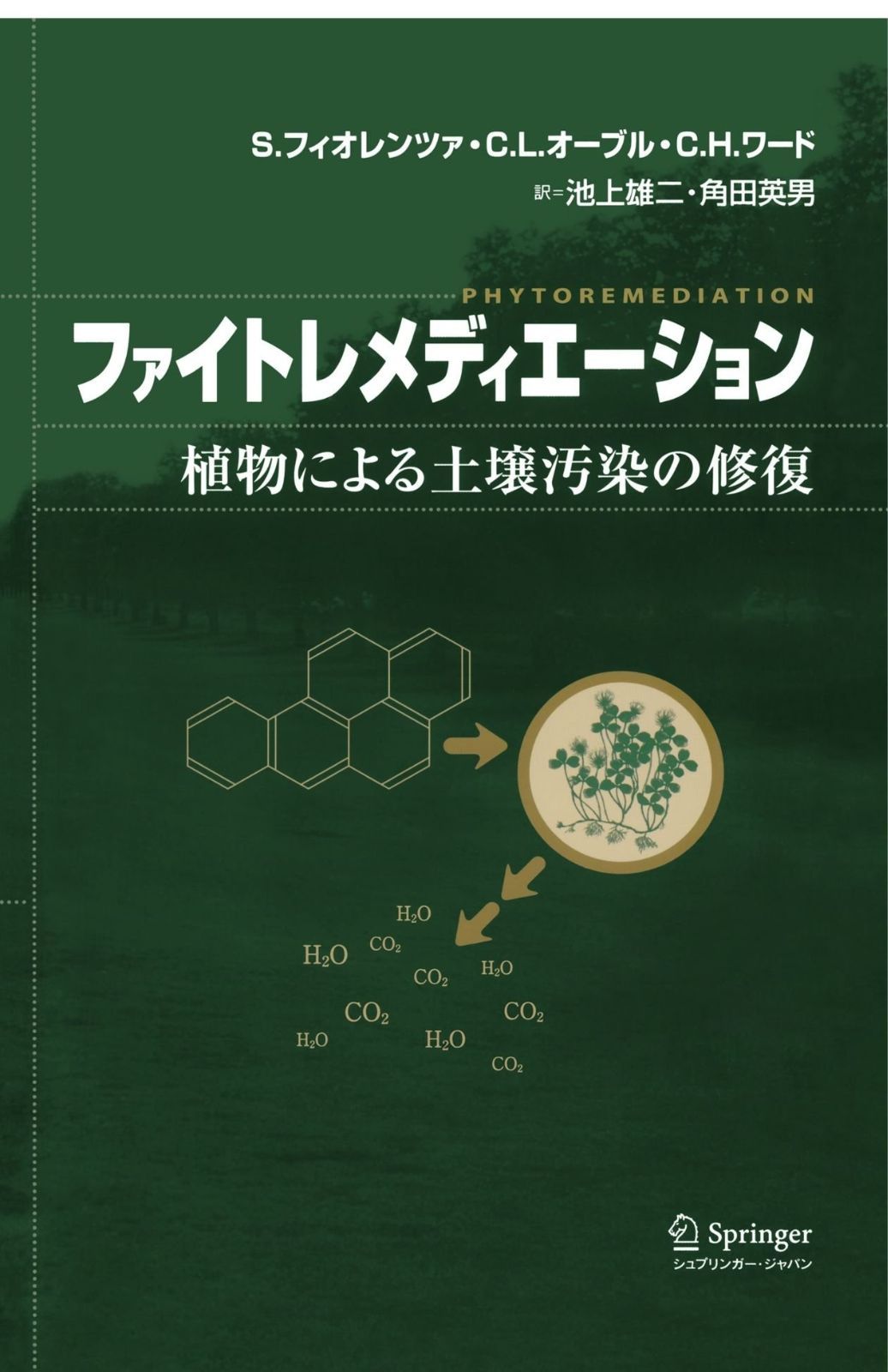 ファイトレメディエーション 植物による土壌汚染の修復