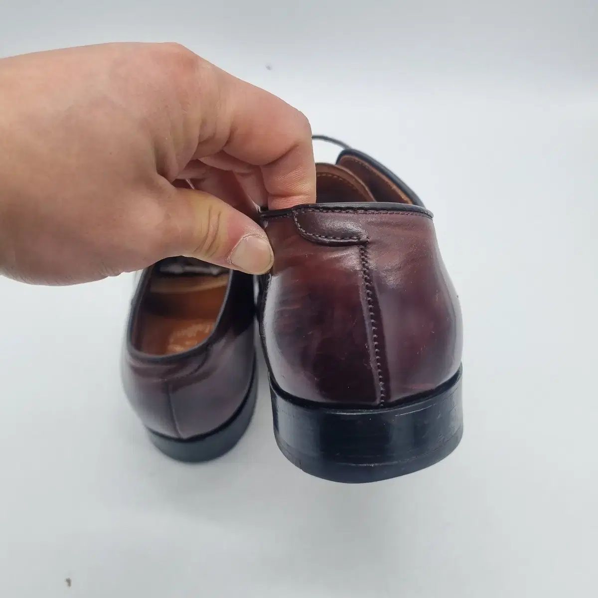 バーガンディ シェル