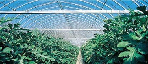 アキレス農業ハウス用ビニールフィルムソラクリーン色採り防塵外張り用紫外線透過タイプ厚さ0.13 mmx幅230 cmx長さ100 m