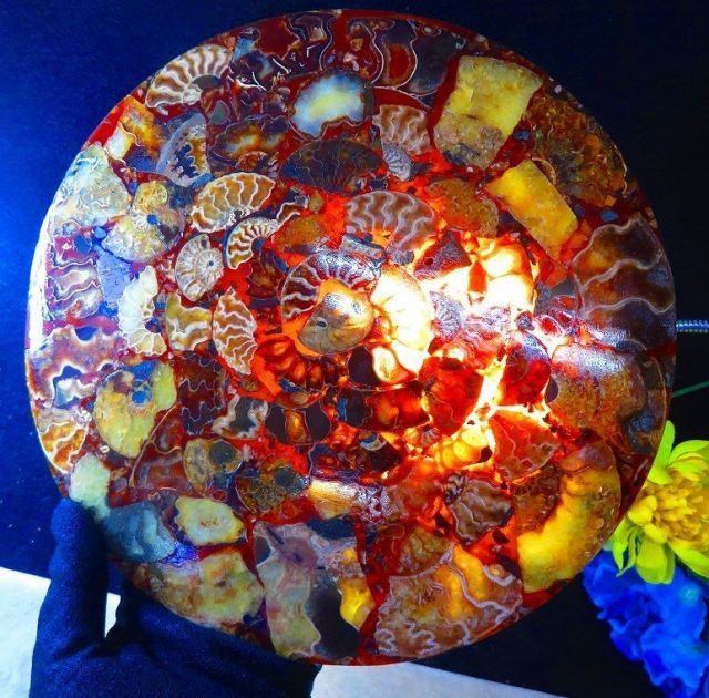 超限定品天然マダガスカル産オパールアンモナイト 化石 100個 超巨大型15ｋｇ 絶品数万個の一個☆上級贅品☆天然マダガスカル産