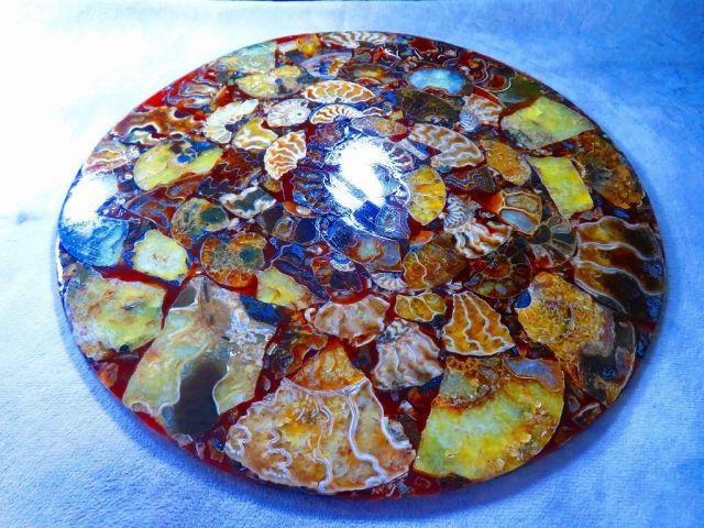 マダガスカル産　縫合糸　アンモナイト　化石　特大型　ハイクオリティ マダガスカル産 縫合糸 アンモナイト 化石 特大型 ハイクオリティ