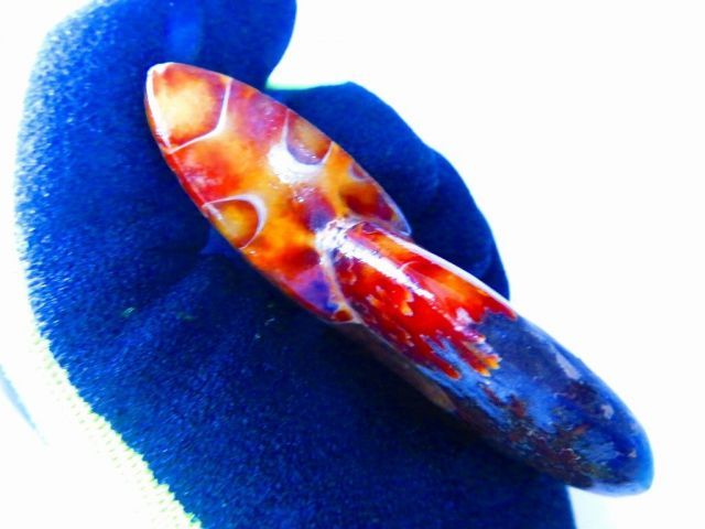 数万個の中の一個☆天然マダガスカル産 ☆ 縫合線オパールアンモナイト