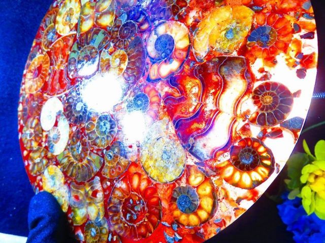 数万個の中の一個☆天然マダガスカル産 ☆ 縫合線オパールアンモナイト