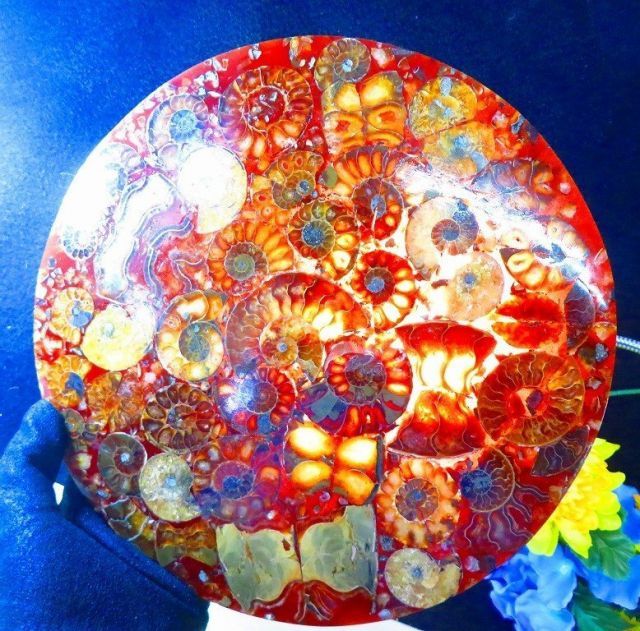 数万個の中の一個☆天然マダガスカル産 ☆ 縫合線オパールアンモナイト