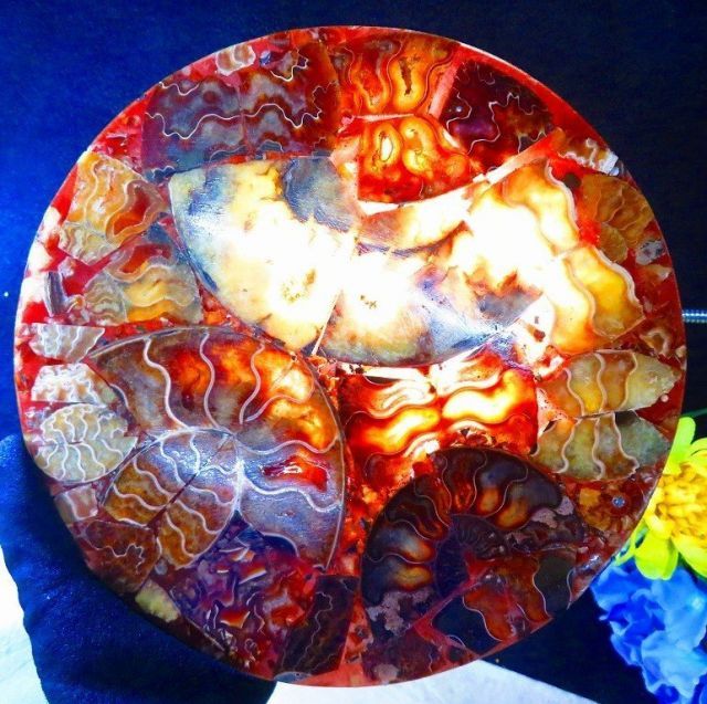 数万個の中の一個☆天然マダガスカル産 ☆ 縫合線オパールアンモナイト