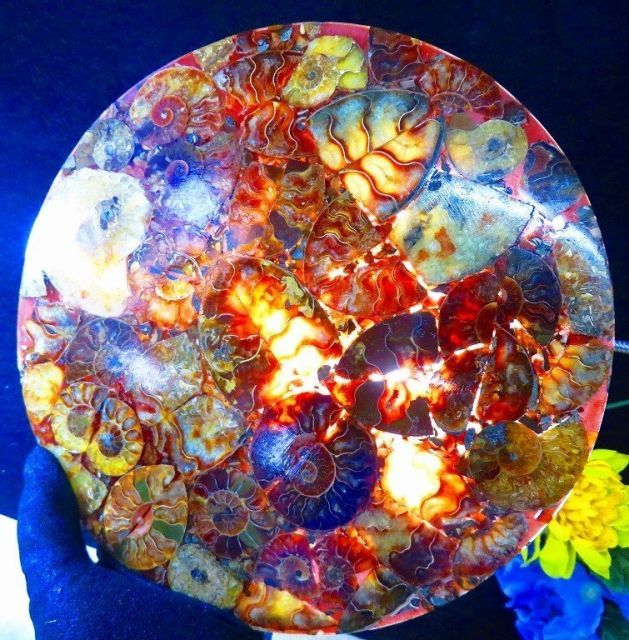 数万個の中の一個☆天然マダガスカル産 ☆ 縫合線オパールアンモナイト