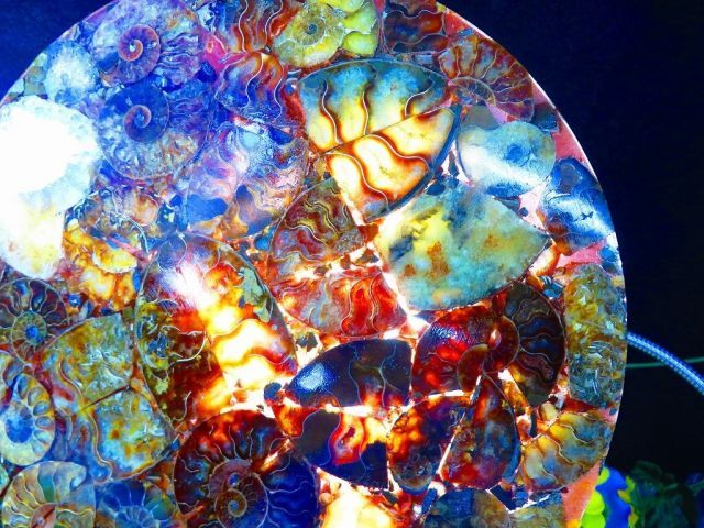 数万個の中の一個☆天然マダガスカル産 ☆ 縫合線オパールアンモナイト