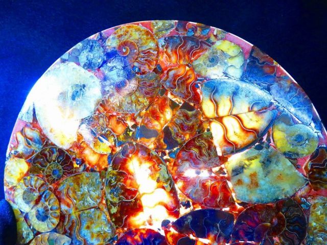数万個の中の一個☆天然マダガスカル産 ☆ 縫合線オパールアンモナイト