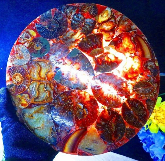 数万個の中の一個☆天然マダガスカル産 ☆ 縫合線オパールアンモナイト