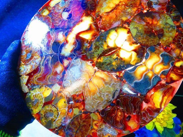数万個の中の一個☆天然マダガスカル産 ☆ 縫合線オパールアンモナイト