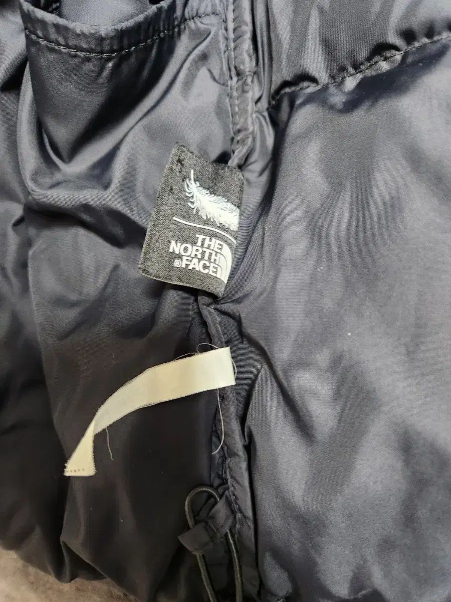 THE NORTH FACE ザノースフェイス 140 その他 ジャケット ブルゾン キッズ服(100cm~)