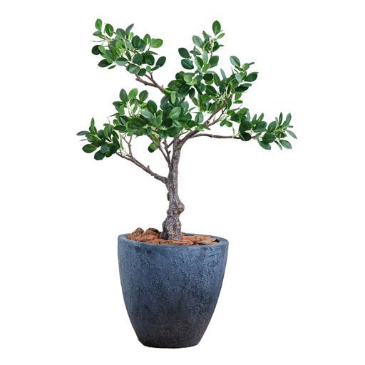 ボタニカルライフプラス Botanicallife 造花パンダガジュマル光触媒フェイクグリーンDシリーズ70 cm鉢付き日本製