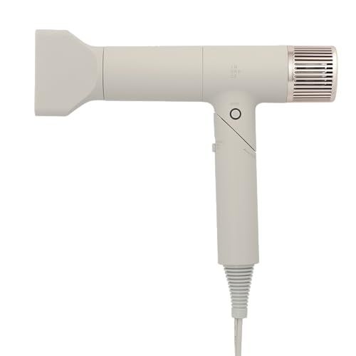 INGRACE Velena hair dryer イングレイス ヴェレナ ヘアドライヤー MBD 002 A-G グレージュ a 6382141