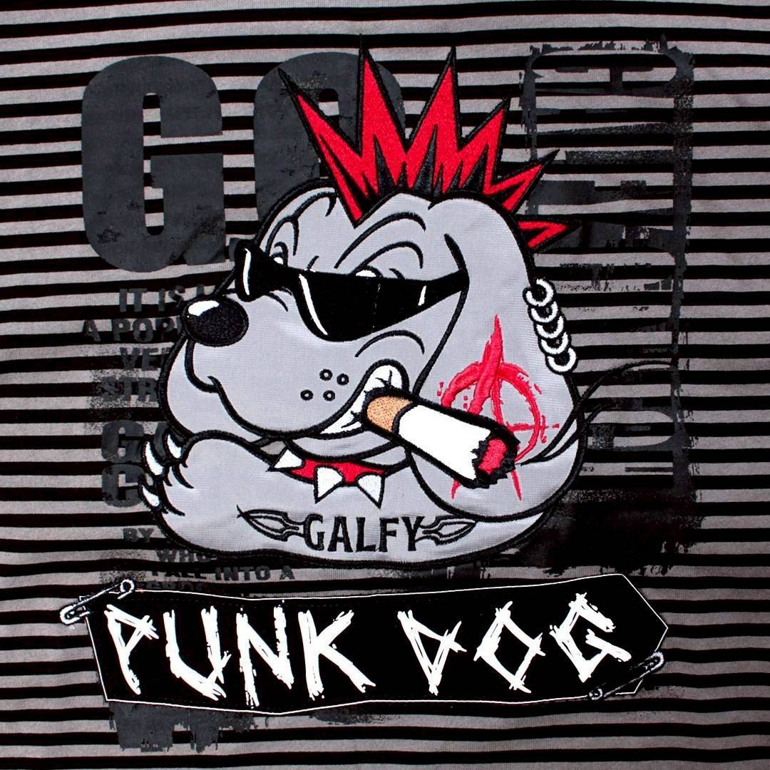 ☆【GALFY/ガルフィー/PUNK DOG ボーダーラグランロンT】長袖