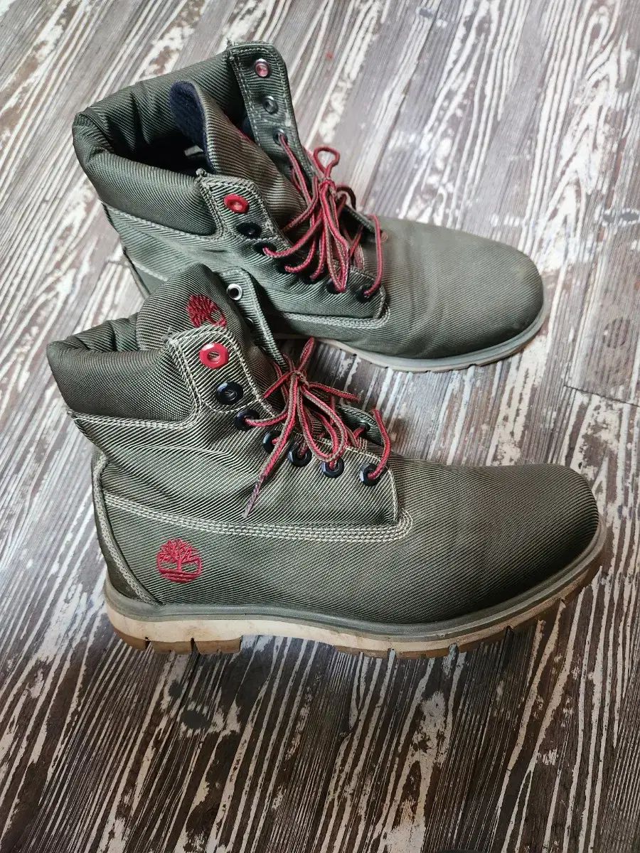 ラドフォード キャンバス