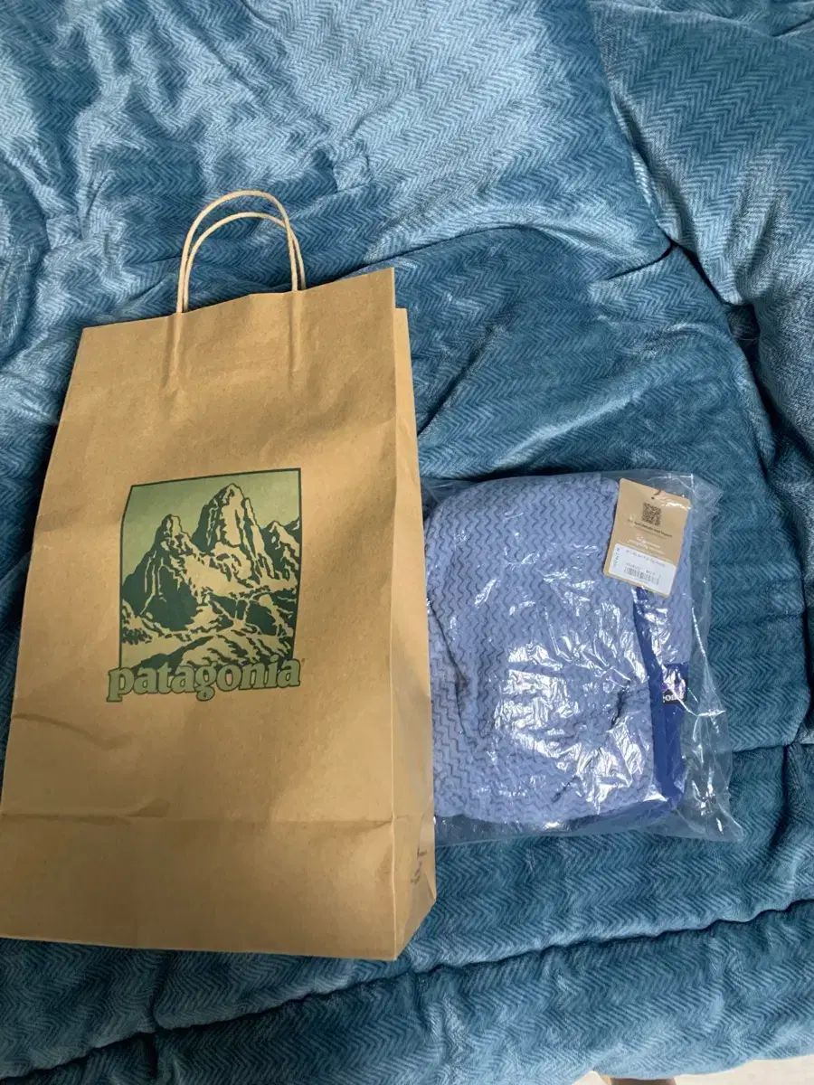 パタゴニア ウィメンズ r 1エア フーディ