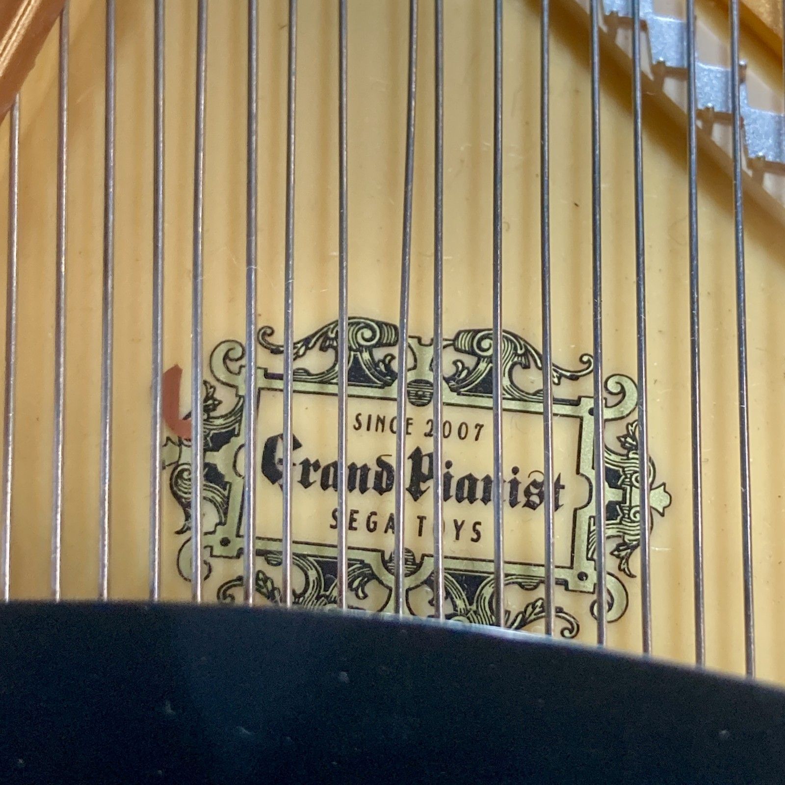 自動演奏 セガトイズ