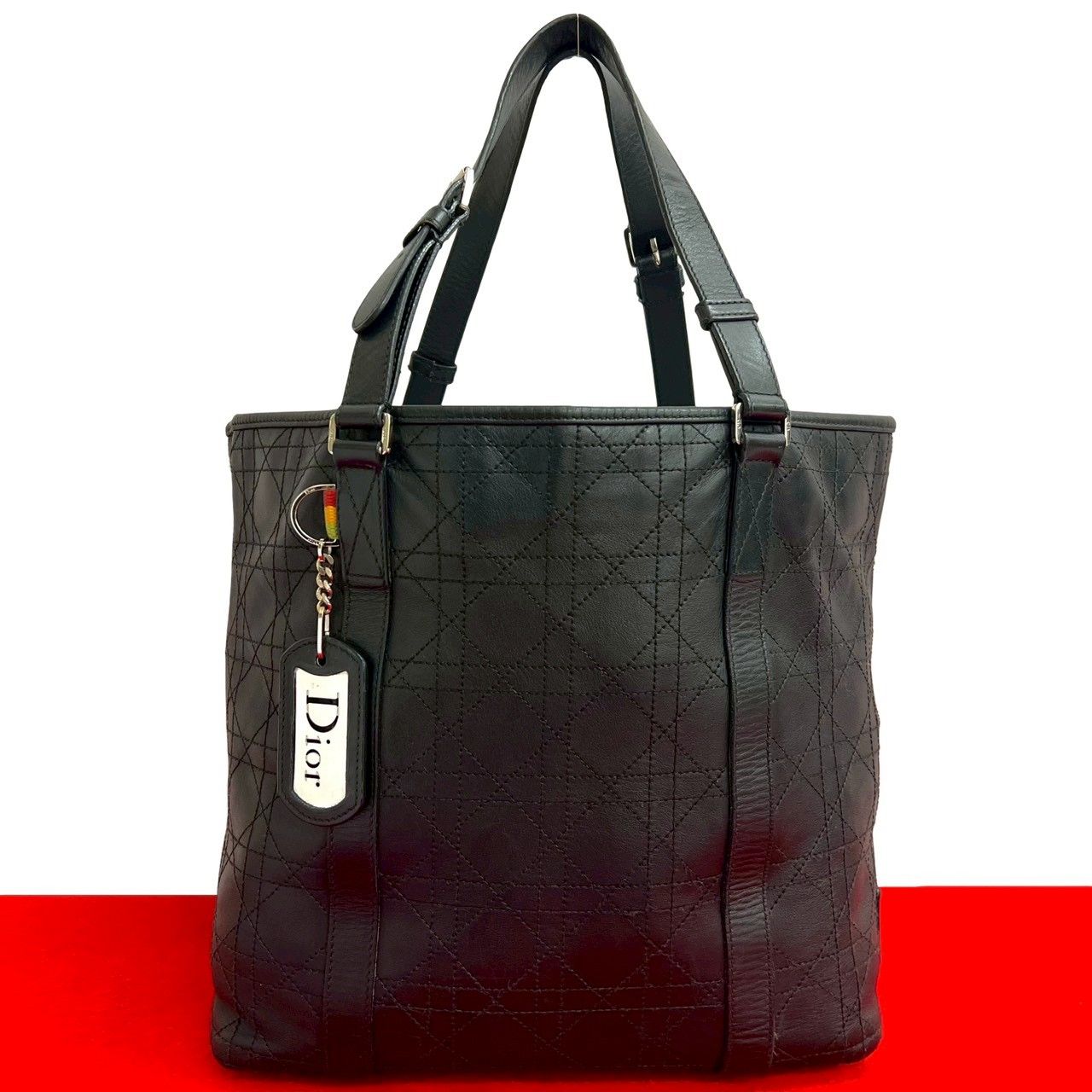 極 美品 Christian Dior ディオール ラスタ カナージュ ステッチ ロゴ