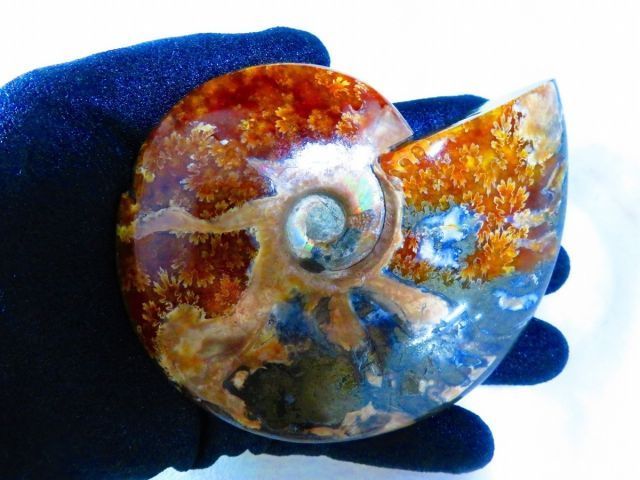 絶品数万個の中の一個☆天然マダガスカル産 ☆ 縫合線オパール