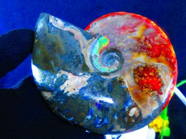 絶品数万個の中の一個☆天然マダガスカル産 ☆ 縫合線オパール