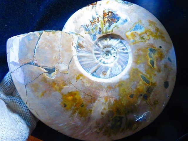 絶品数万個の中の一個☆天然マダガスカル産 ☆ 縫合線オパール