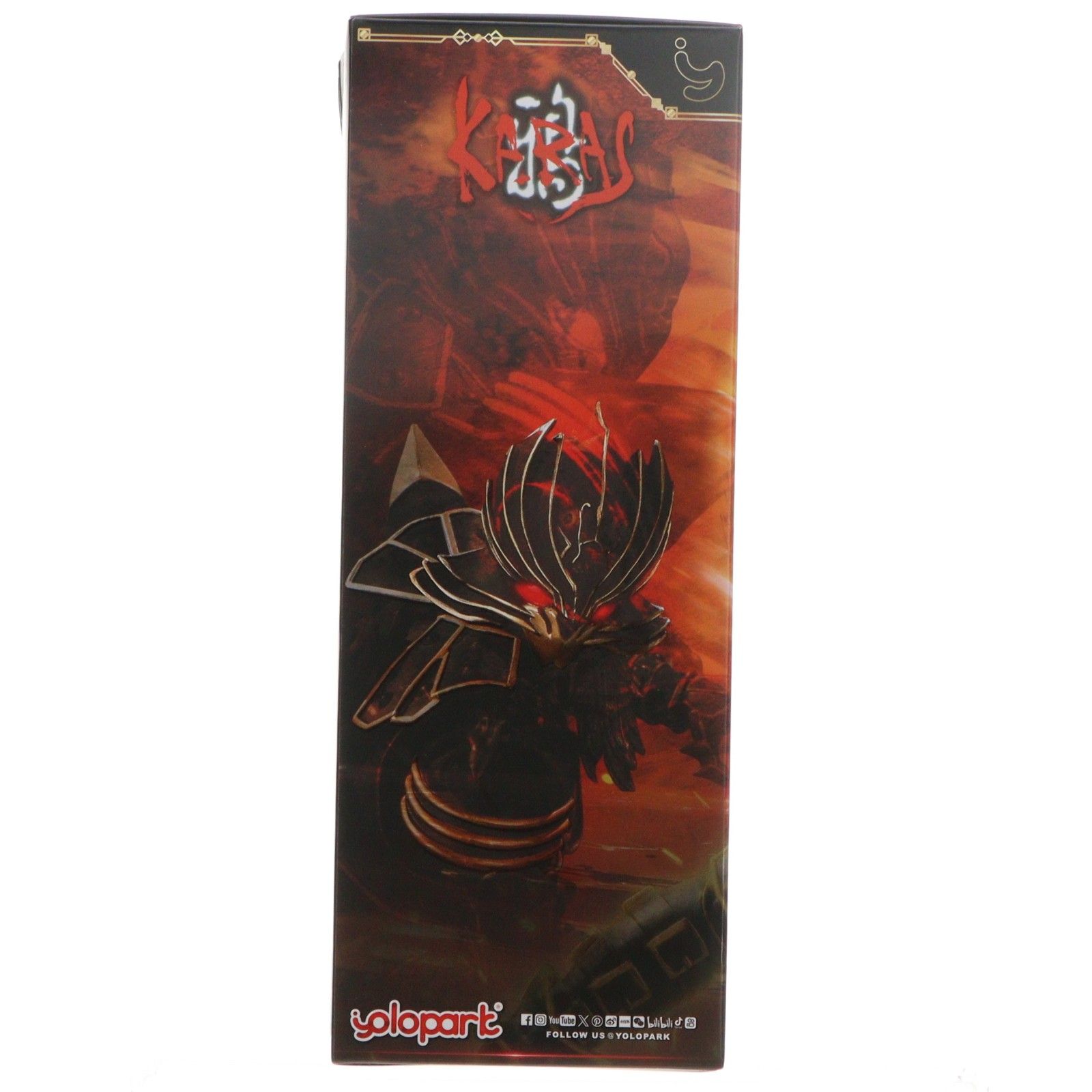 AMK PRO シリーズ 乙羽鴉 リジェネラートVer. 鴉-KARAS- プラモデル