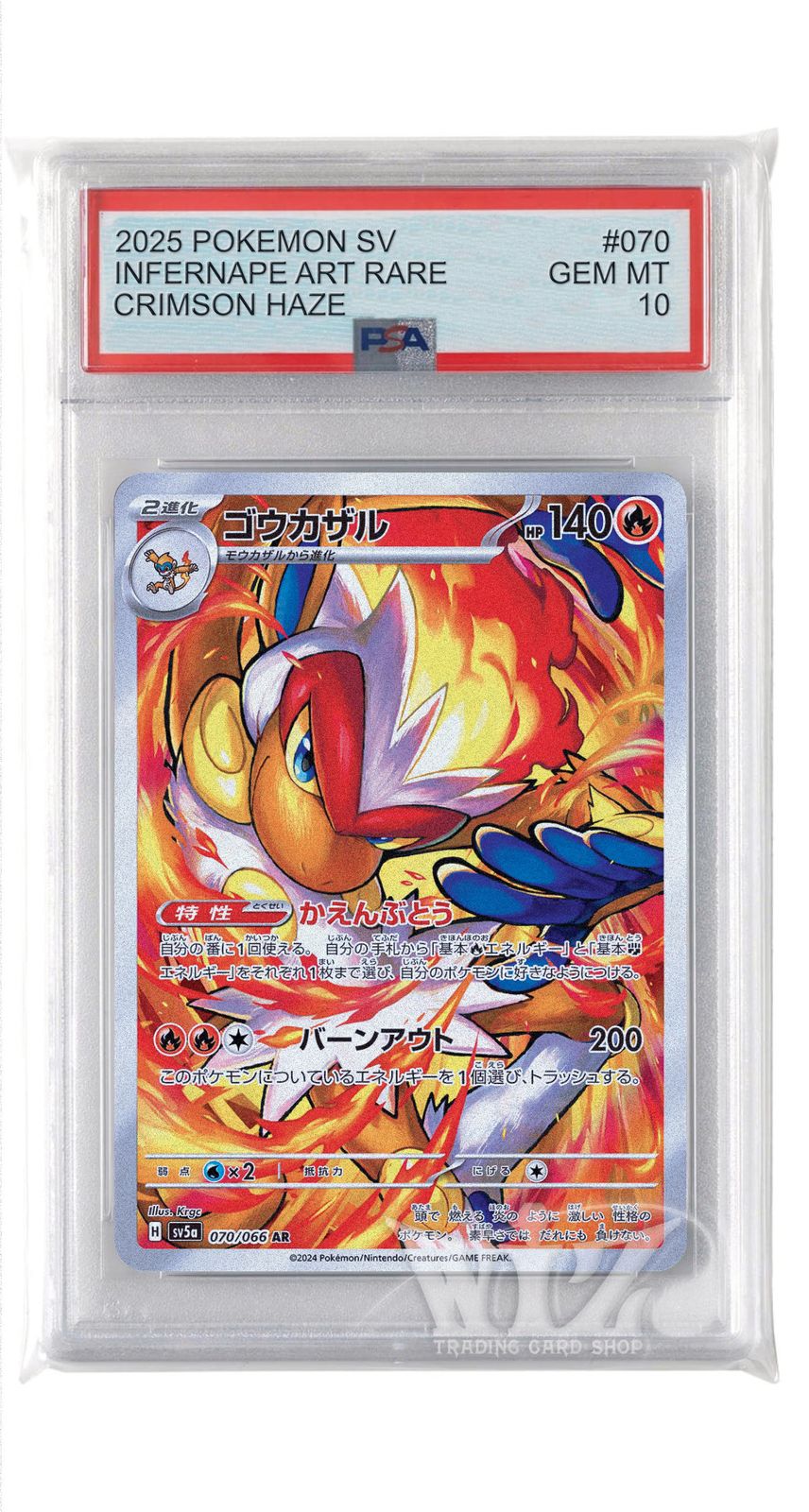 ⑥ PSA10 ゴウカザル AR 070/066 ゴウカザル 070/066 AR｜ポケカシングルカード通販｜Cloveストア
