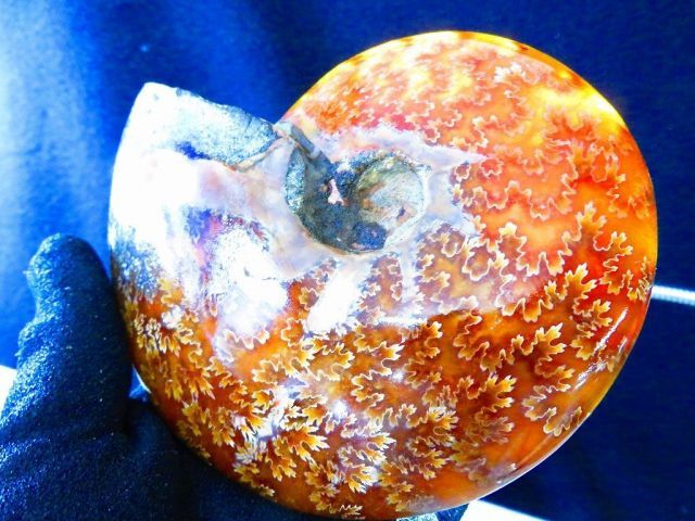 絶品数万個の中の一個☆天然マダガスカル産 ☆ 縫合線オパール