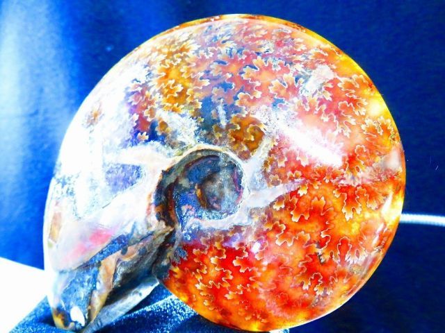 絶品数万個の中の一個☆天然マダガスカル産 ☆ 縫合線オパール