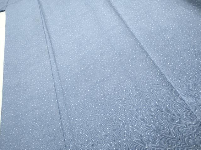 平和屋着物○洗える最高級着物 ＜英＞はなぶさ謹製 江戸小紋 鮫小紋柄