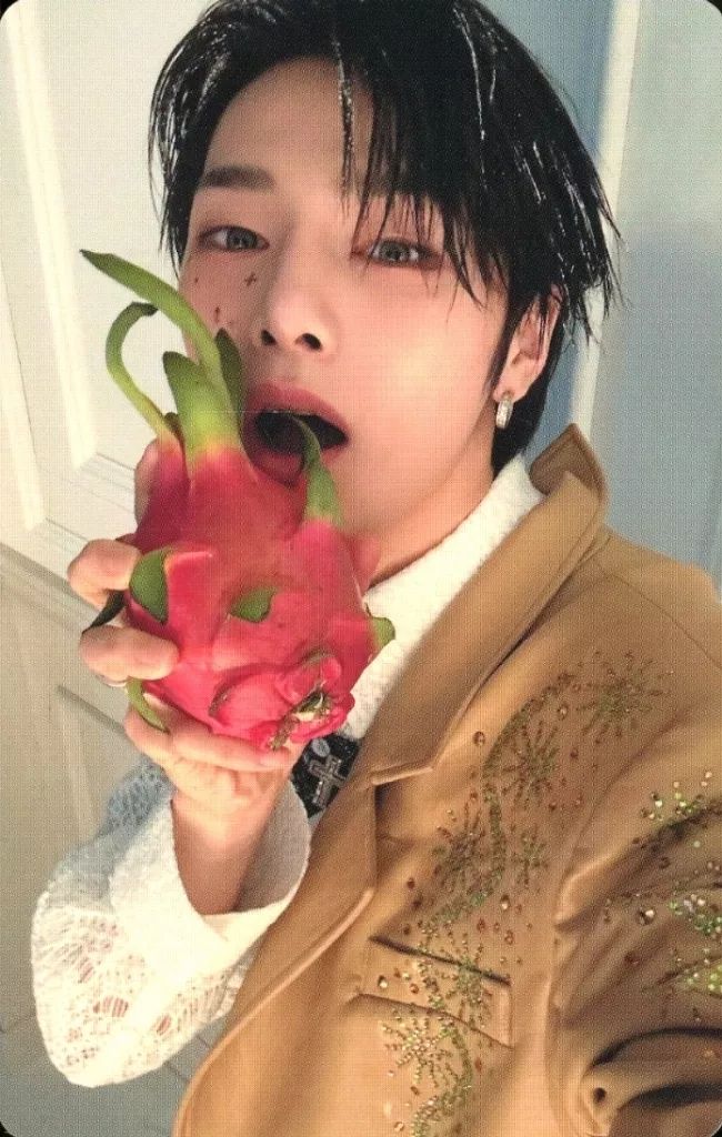 Stray Kids ALL IN アイエン I.N コンプリート Stray Kids DOiT ACCORDION アイエン コンプリート - メルカリ