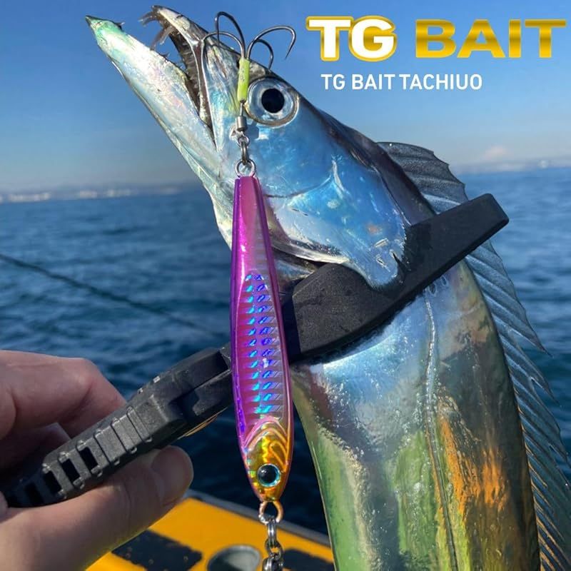 ダイワ(DAIWA) タングステンジグ TGベイトタチウオ100g PHパープル