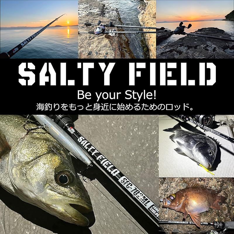 特別版】Abu Garcia(アブガルシア) SALTYFIELD ソルティーフィールド
