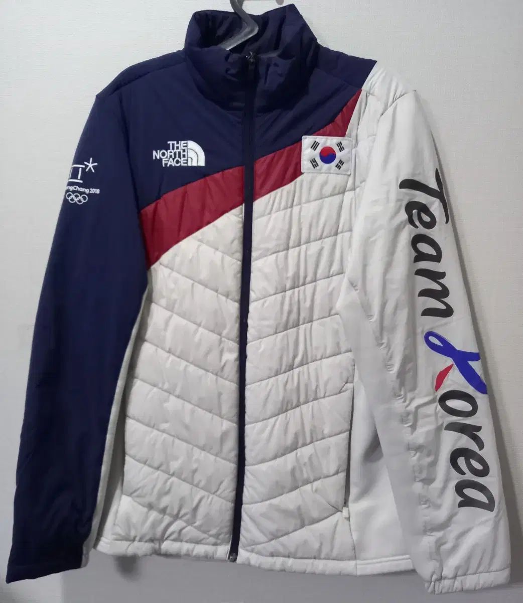THE NORTH FACE ザノースフェイス 平昌オリンピック チームコリア 軽量ダウン 100|L