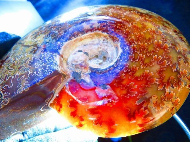 数万個の中の一個☆天然マダガスカル産 ☆ 縫合線オパールアンモナイト