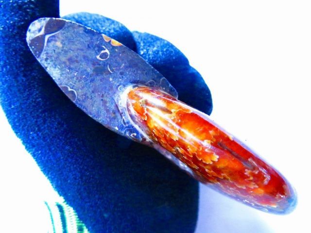 数万個の中の一個☆天然マダガスカル産 ☆ 縫合線オパールアンモナイト