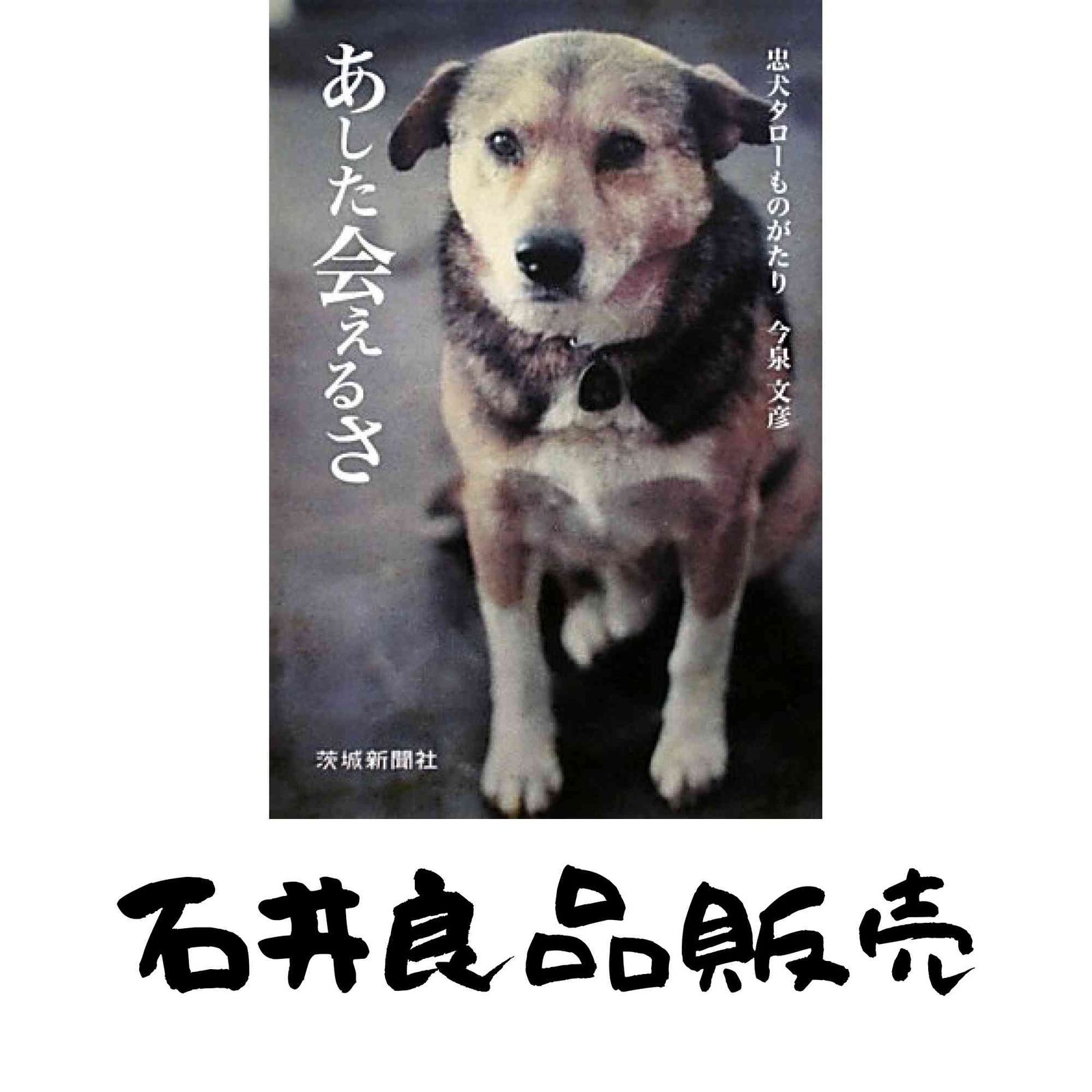あした会えるさ―忠犬タローものがたり 単行本 今泉 文彦