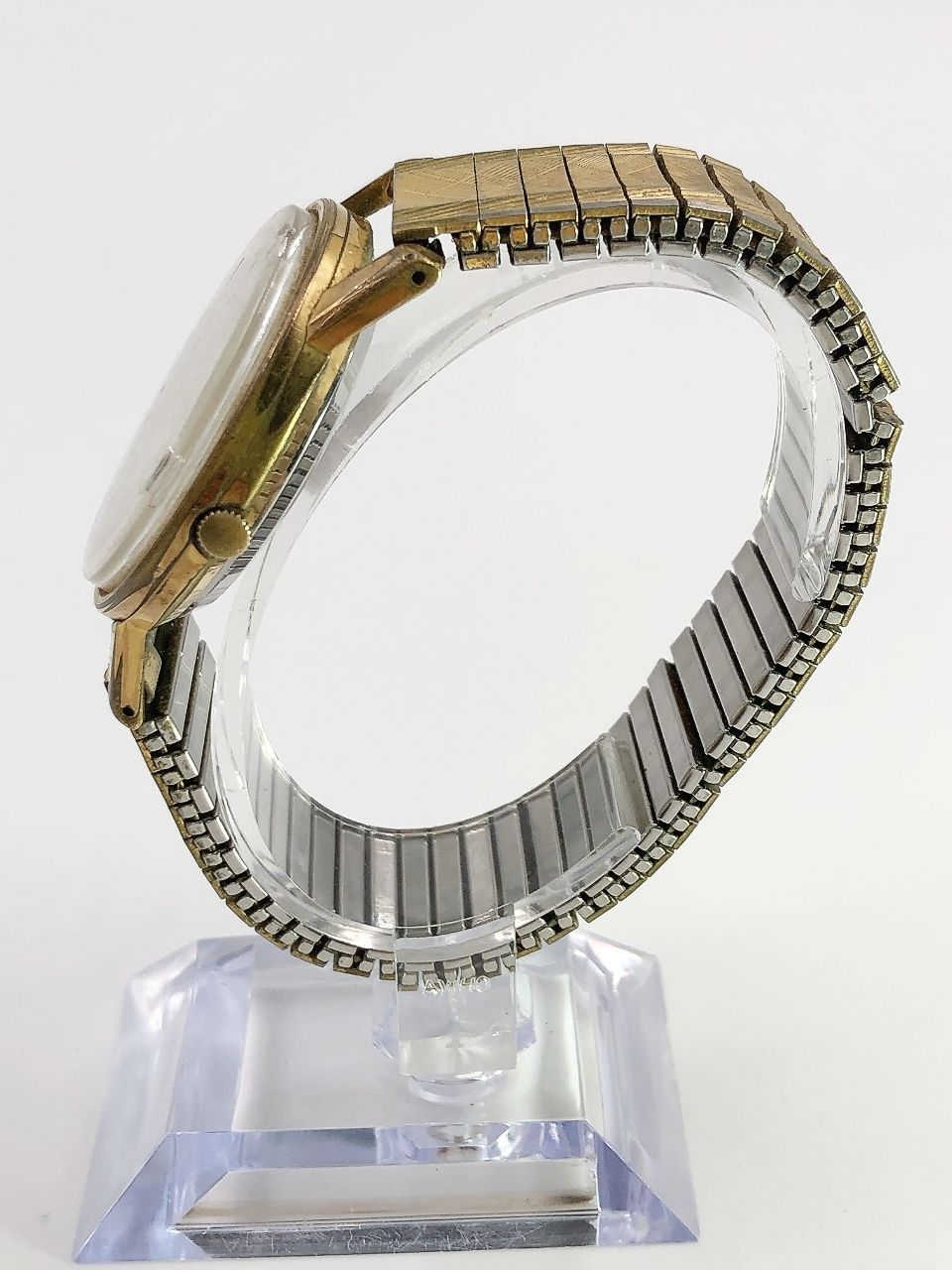 DaterRookie シチズン