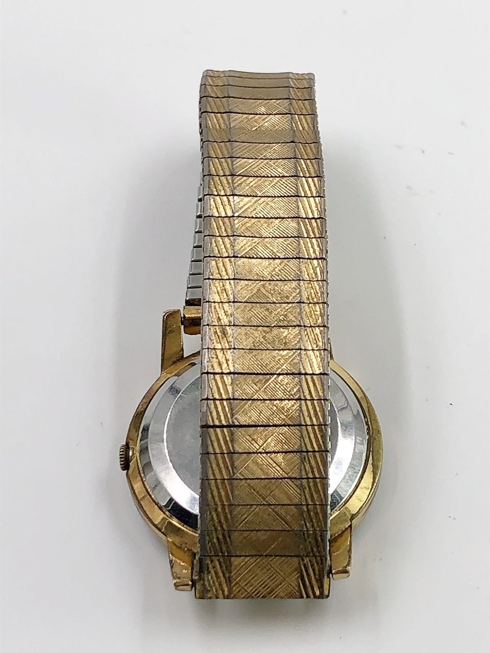 DaterRookie シチズン