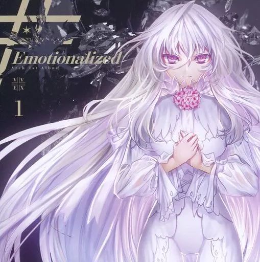 中古】同人音楽CDソフト Emotionalized / VIVID HARDCORE - メルカリ