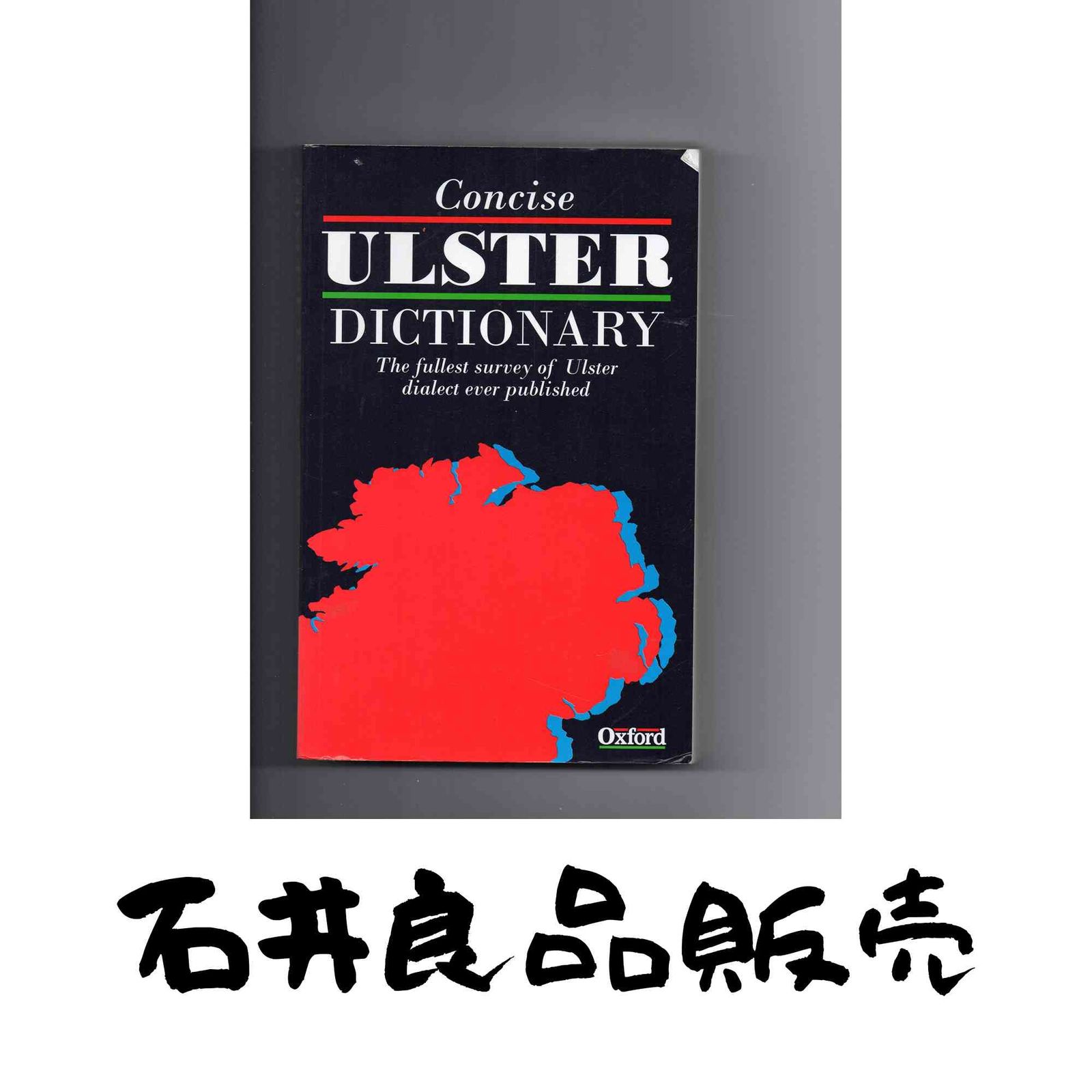 A Concise Ulster Dictionary Macafee Caroline