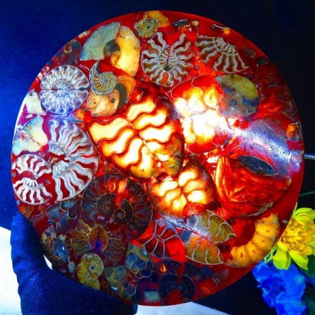 数万個の中の一個☆天然マダガスカル産 ☆ 縫合線オパールアンモナイト