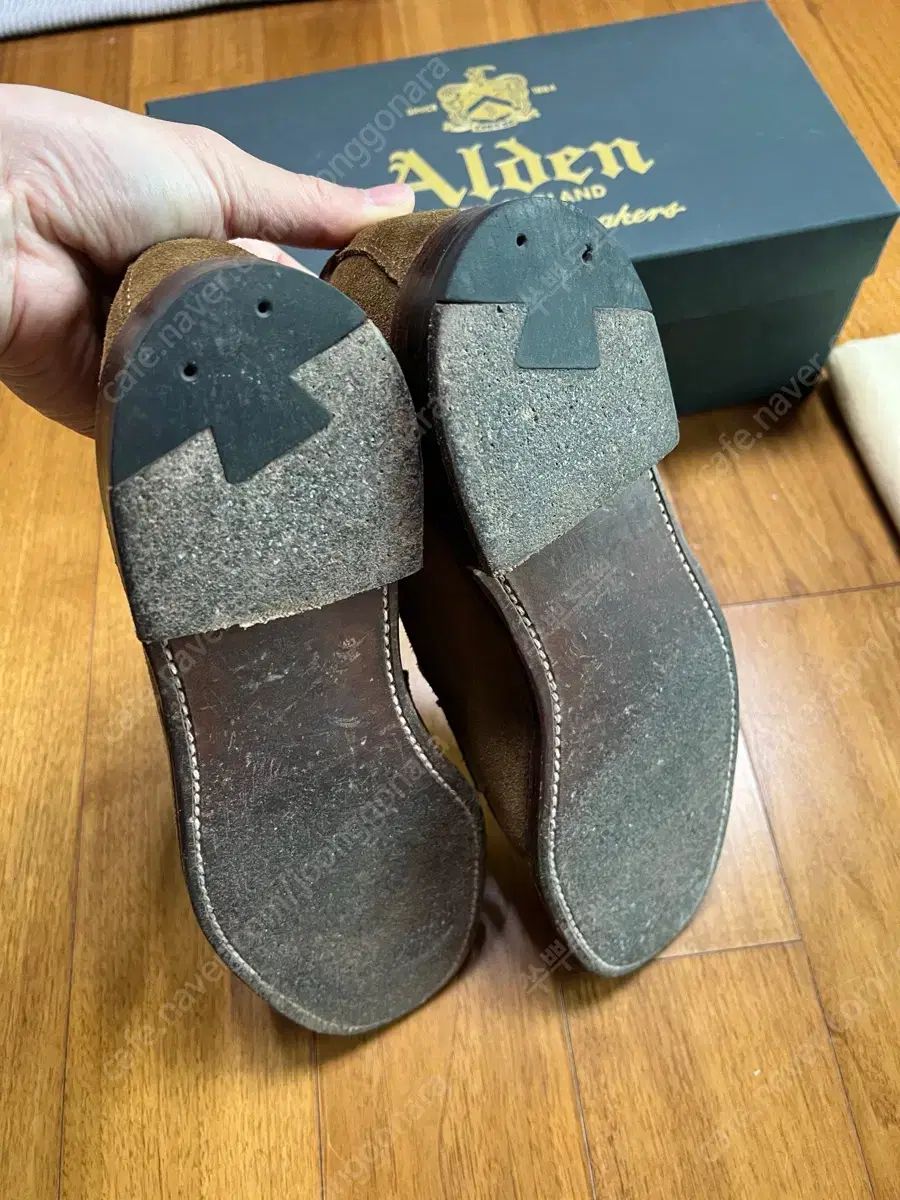 オールデン 6243