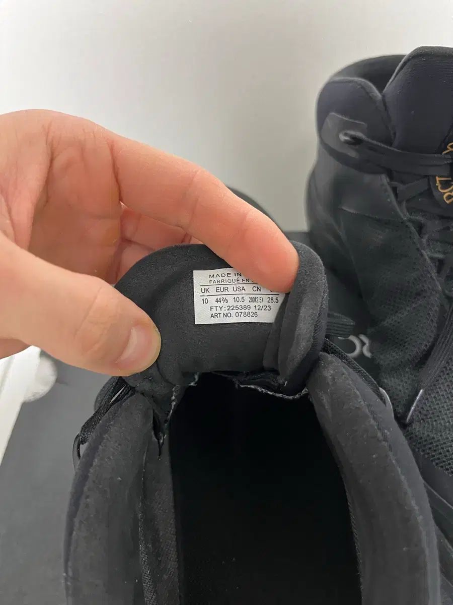 エエリアス ミッド