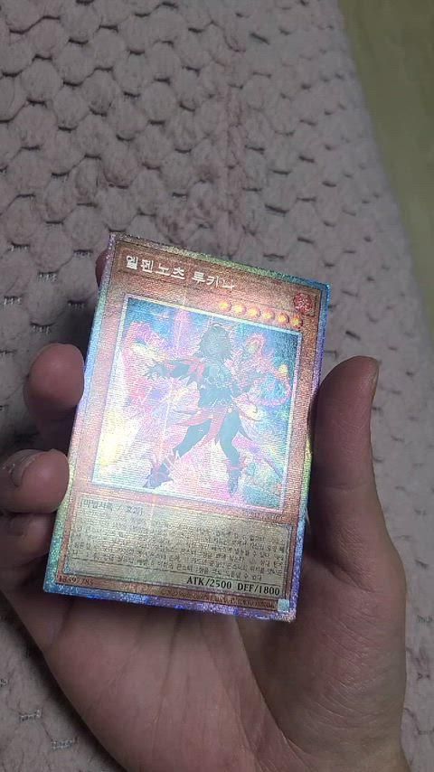 遊☆戯☆王 エルフェンノーツ ルーキー プリズマティック シークレット