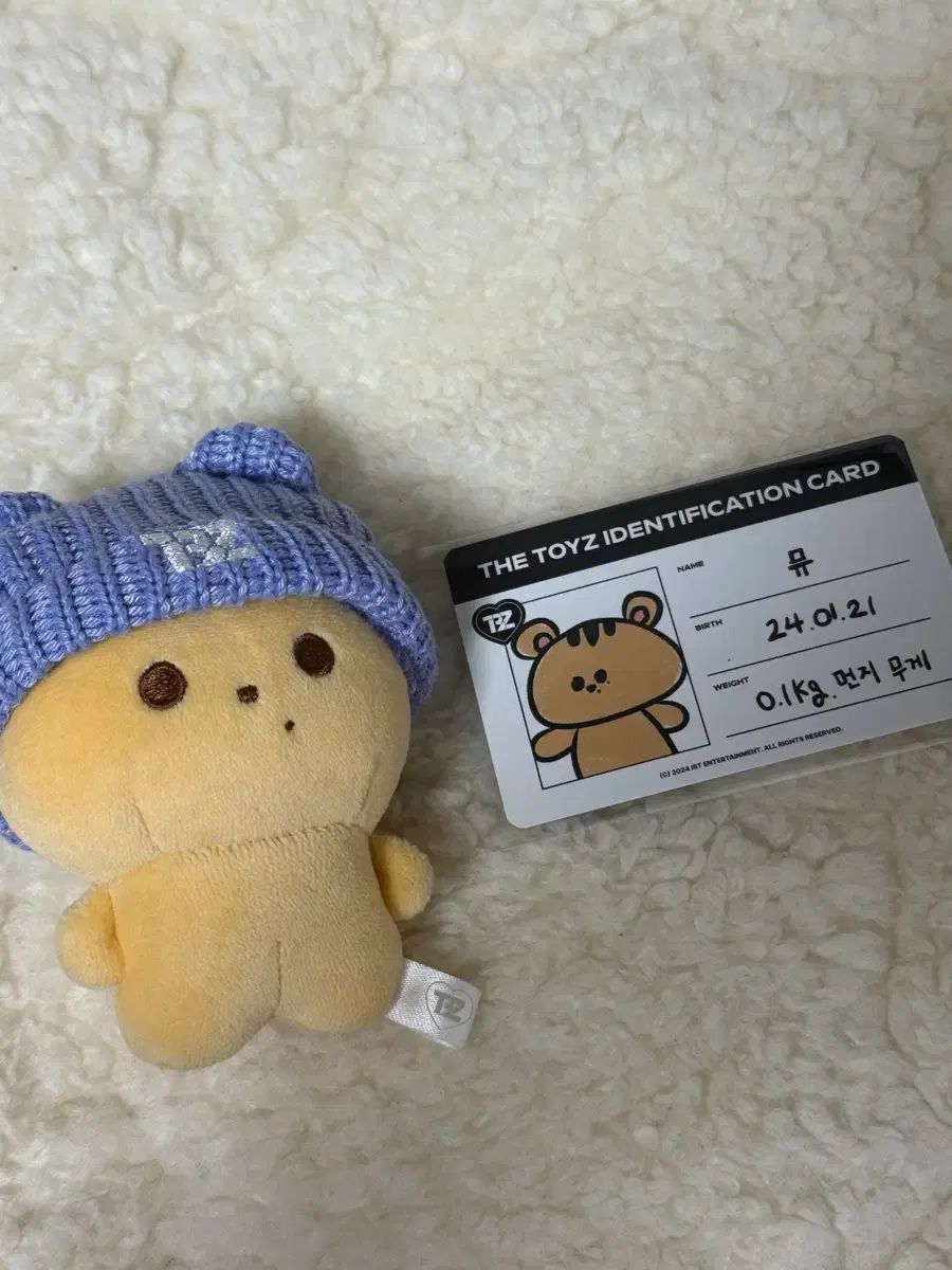 THE BOYZ(ザ・ボーイズ・ドボイズ) キュー(Q・チャンミン) ZENIRATION